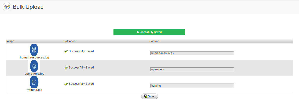 Example of successful bulk upload